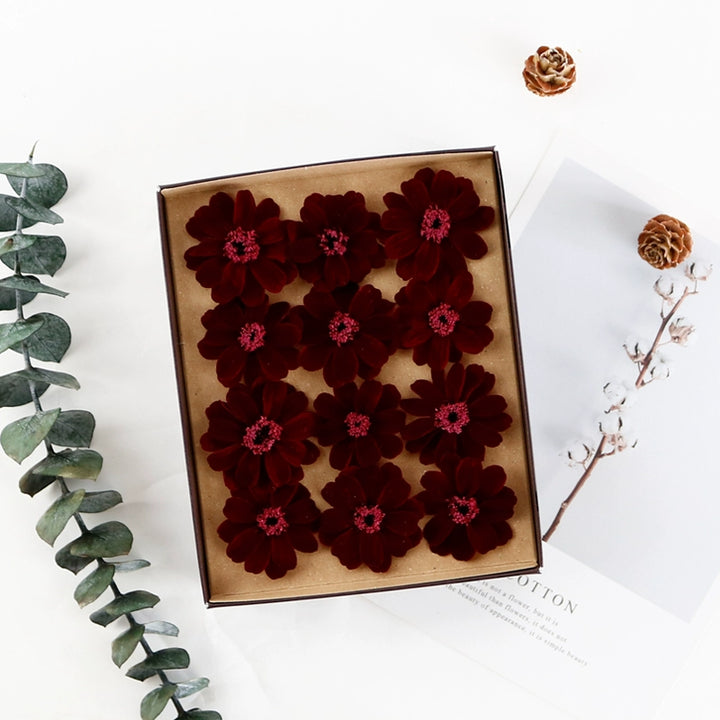 Preserved Daisy DIY Craft Kit – EarthMatters Imported Floral Material