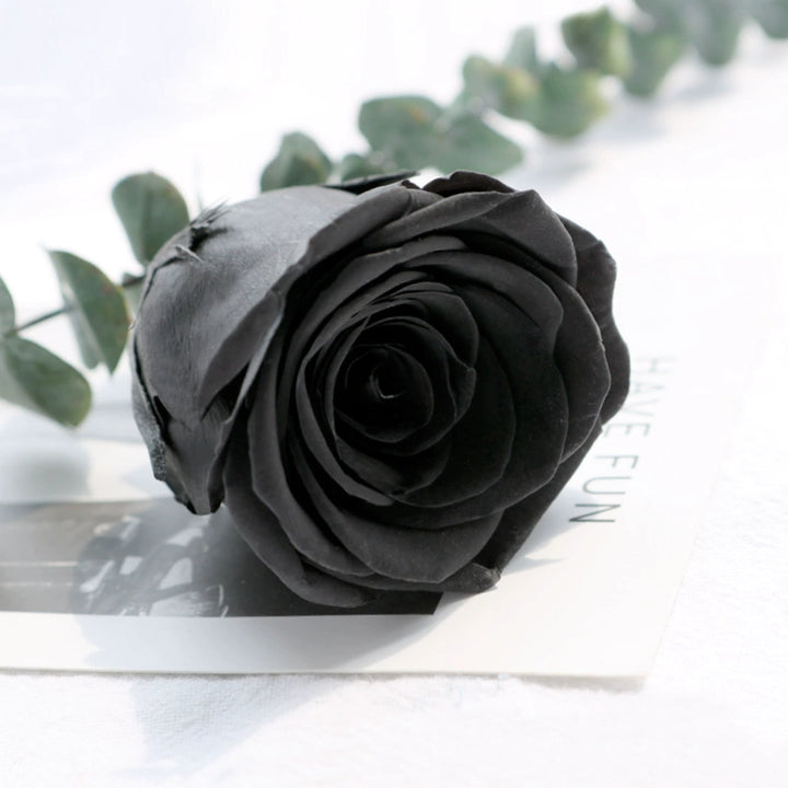 Preserved Single Rose Head for DIY Crafting – 4-5cm, Multiple Color Options