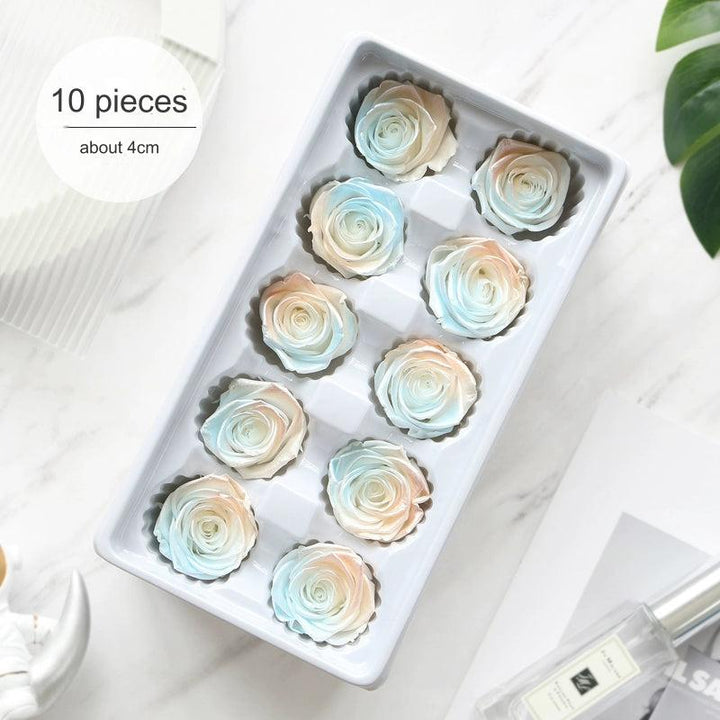 Iridescent Preserved Roses, 2-6cm Pack