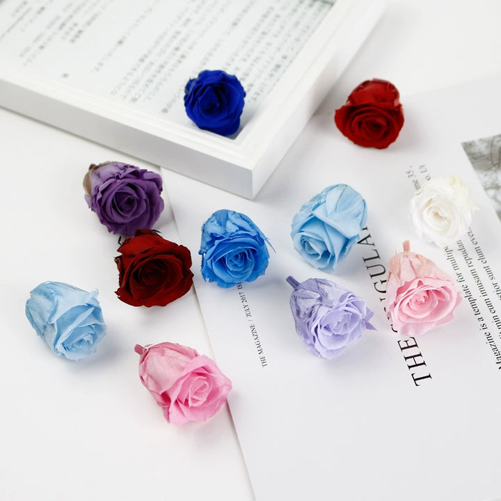 Mini Preserved Roses 2-6cm for Keychain and DIY Crafts