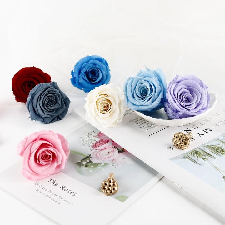 preserved-roses-5-6cm-single-rose-for-floral-decorations-and-gifts