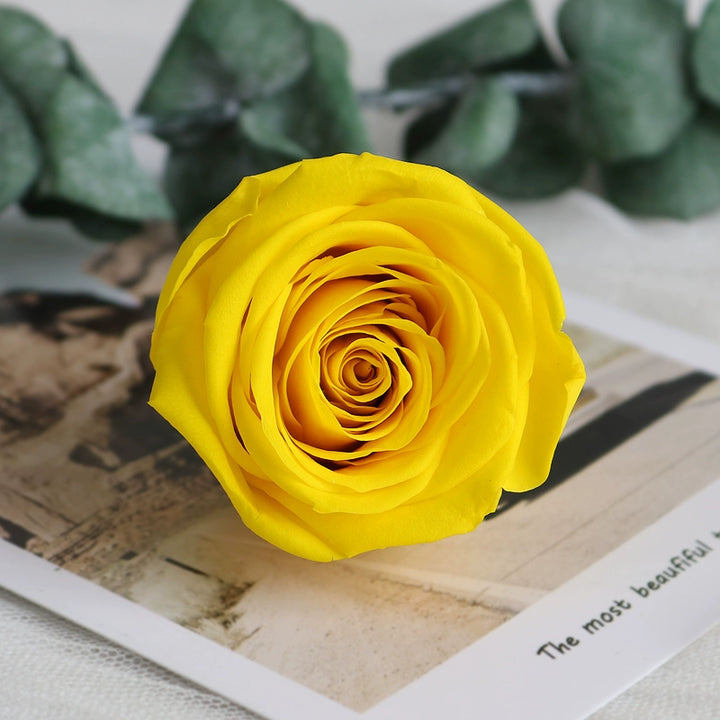 Preserved Single Rose Head for DIY Crafting – 4-5cm, Multiple Color Options