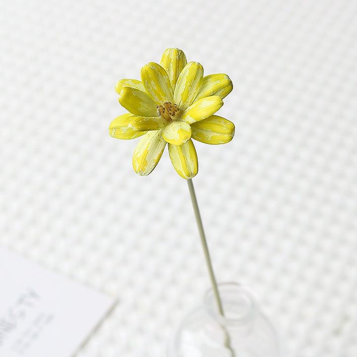 Colorful Preserved Daisy Flowers – Single Bloom for DIY Floral Crafts