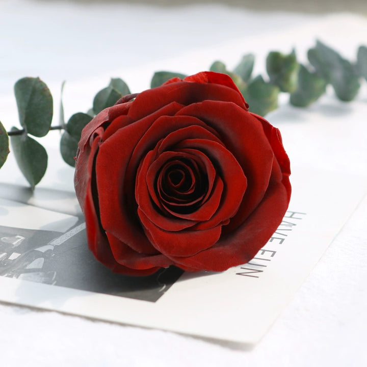 Preserved Single Rose Head for DIY Crafting – 4-5cm, Multiple Color Options