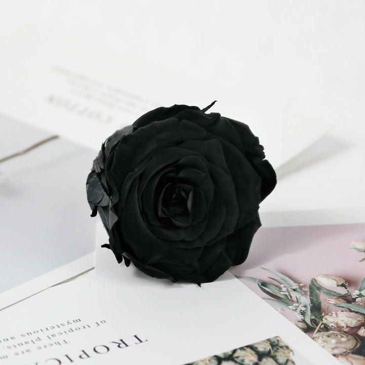 preserved-roses-5-6cm-single-rose-for-floral-decorations-and-gifts