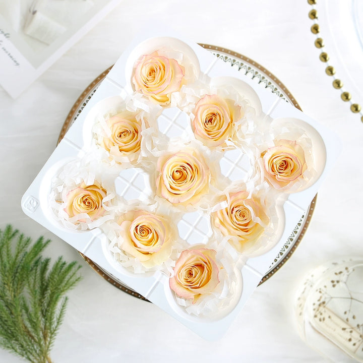 Elegant Preserved Roses - 3.5-4.5cm Bloom for Timeless Arrangements