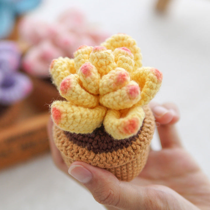 Crocheted Small Potted Succulent Plants