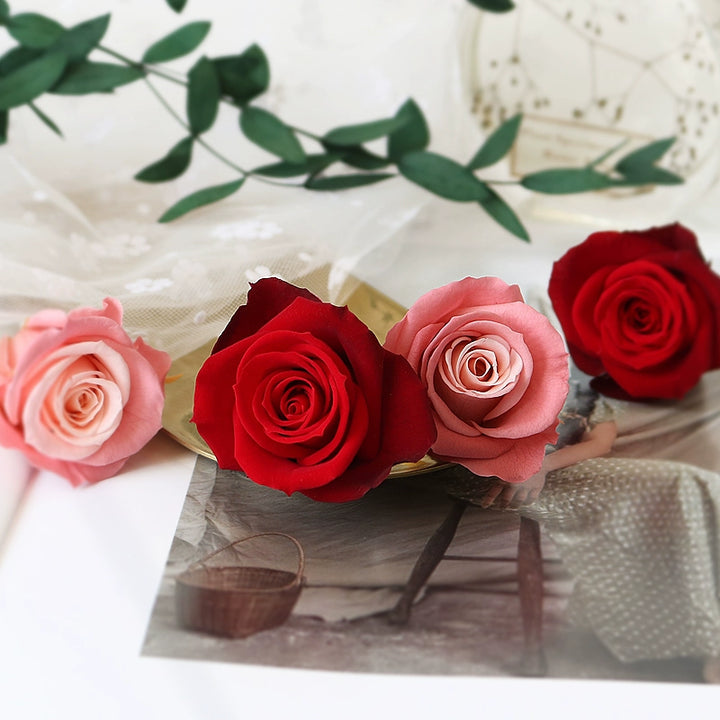 Elegant Preserved Primavera Roses - Single Bloom 3.5-4.5cm