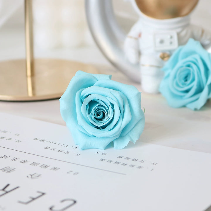 Elegant Preserved Primavera Roses - Single Bloom 3.5-4.5cm