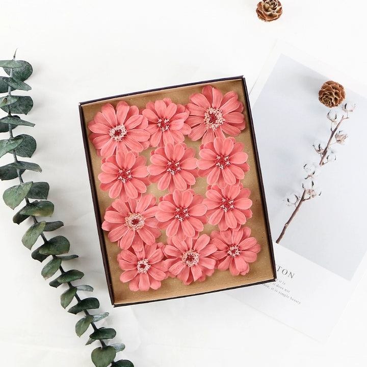 Preserved Daisy DIY Craft Kit – EarthMatters Imported Floral Material