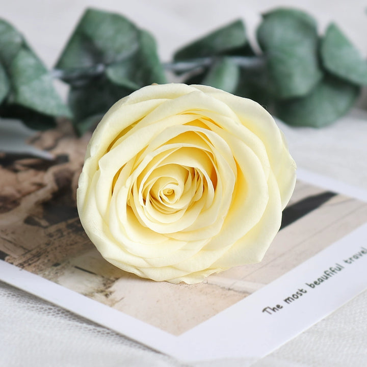 Preserved Single Rose Head for DIY Crafting – 4-5cm, Multiple Color Options