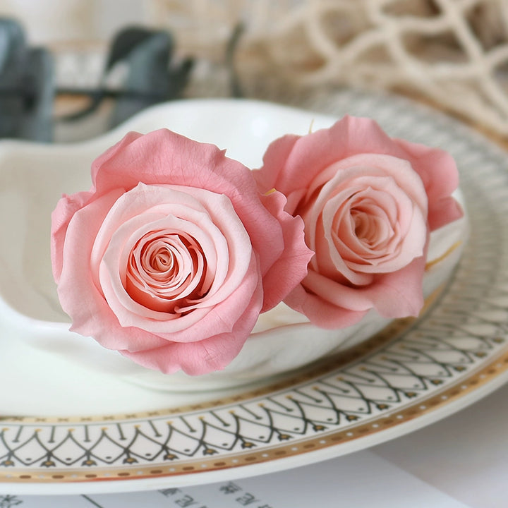 Elegant Preserved Primavera Roses - Single Bloom 3.5-4.5cm