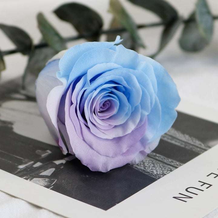 Preserved Single Rose Head for DIY Crafting – 4-5cm, Multiple Color Options