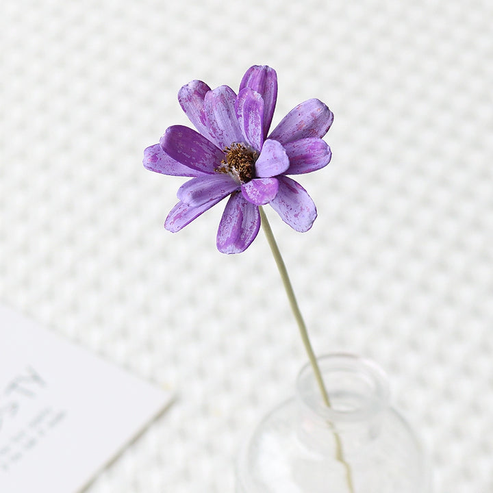 Colorful Preserved Daisy Flowers – Single Bloom for DIY Floral Crafts