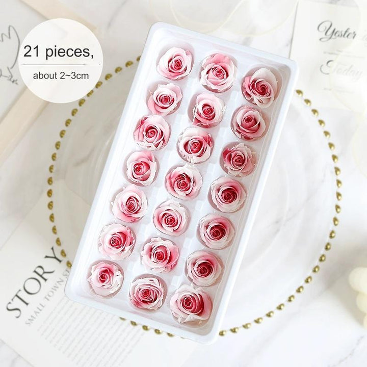 Premium Preserved Pink-White Rose, 2-6cm