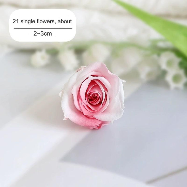 Premium Preserved Pink-White Rose, 2-6cm