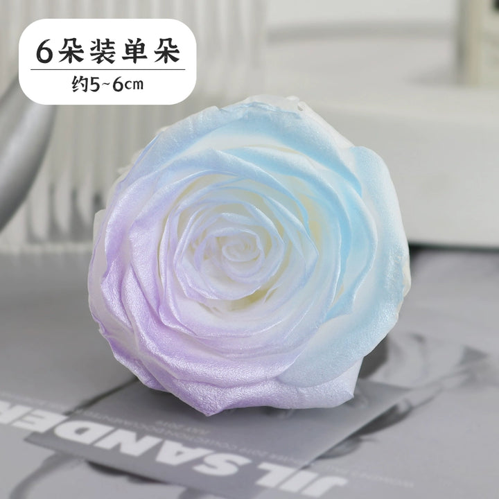 Pearlescent Preserved Rose For DIY Bouquet – 5-6CM Bloom for Crafting and Decor