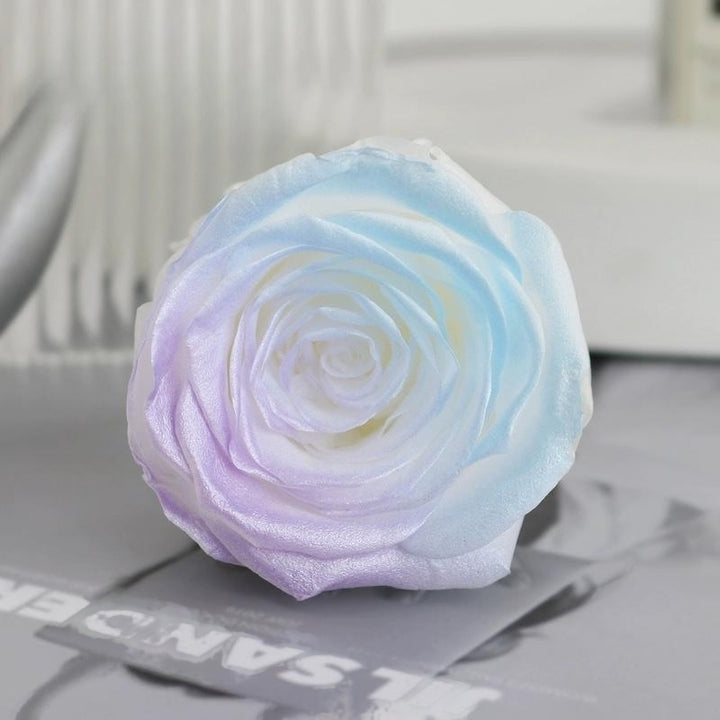 Pearlescent Preserved Rose For DIY Bouquet – 5-6CM Bloom for Crafting and Decor