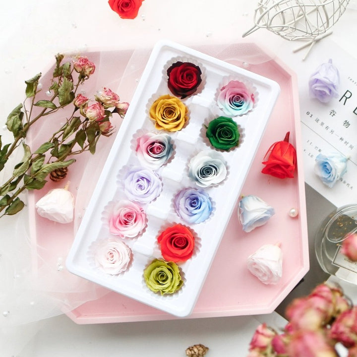 Preserved Gradient Roses (12 Pieces )– 3-4CM Blooms for Floral Crafts