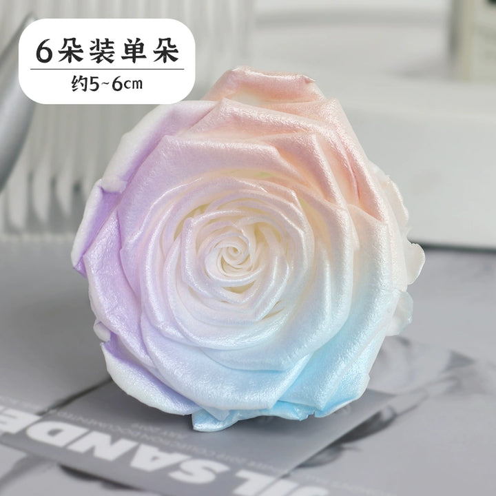 Pearlescent Preserved Rose For DIY Bouquet – 5-6CM Bloom for Crafting and Decor