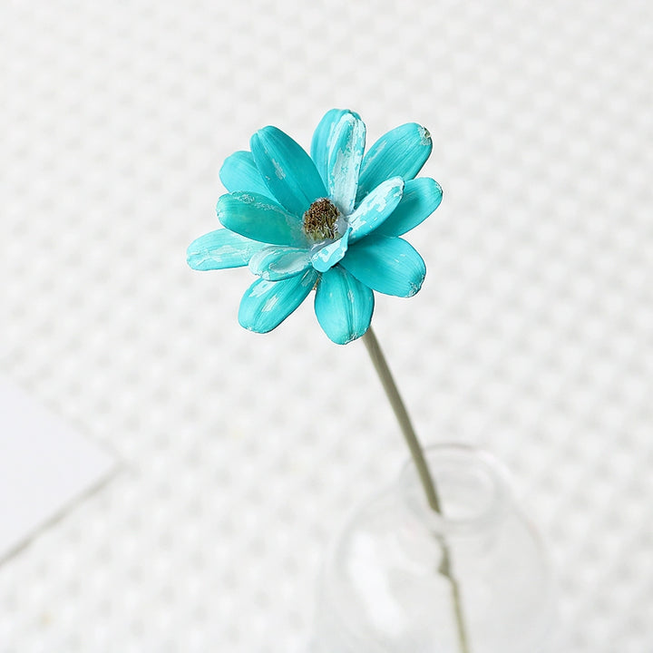 Colorful Preserved Daisy Flowers – Single Bloom for DIY Floral Crafts