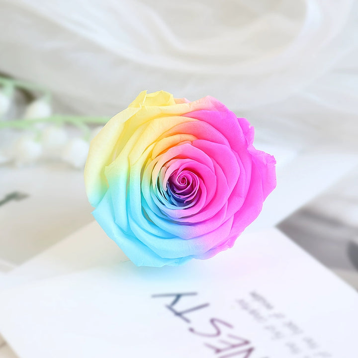 Preserved Single Rose Head for DIY Crafting – 4-5cm, Multiple Color Options