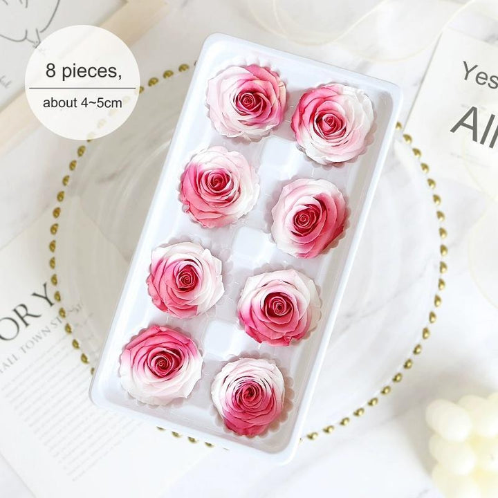 Premium Preserved Pink-White Rose, 2-6cm