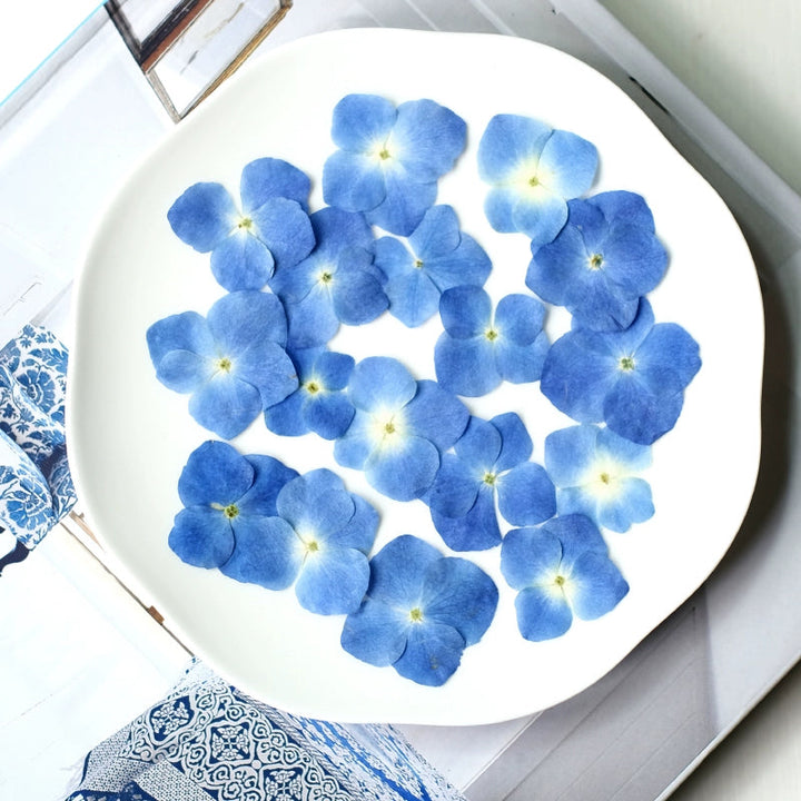 50 Pcs Pressed Dried Hydrangea Flower for DIY Crafts