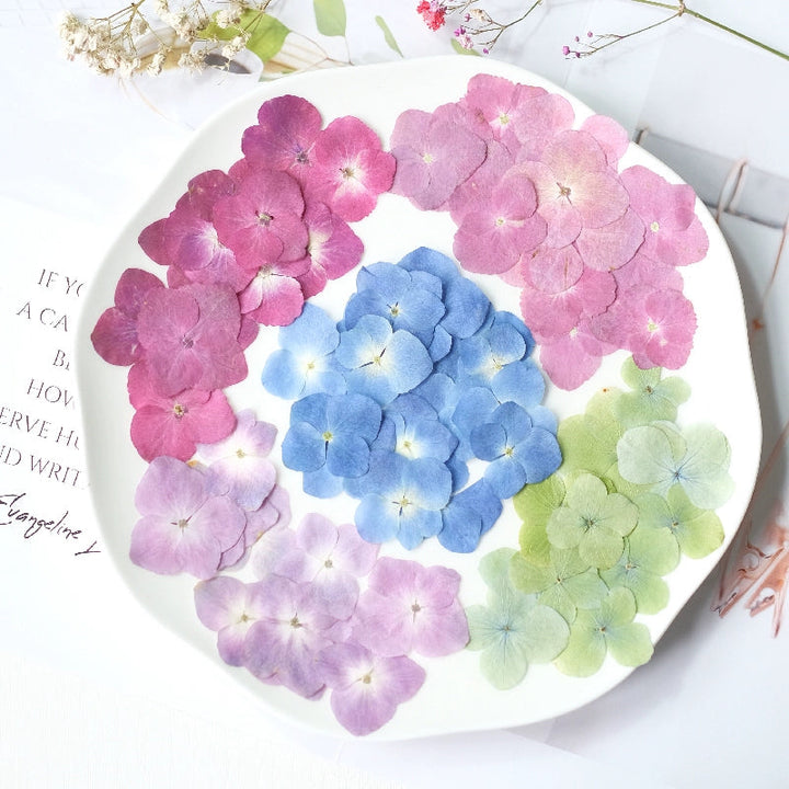 50 Pcs Pressed Dried Hydrangea Flower for DIY Crafts