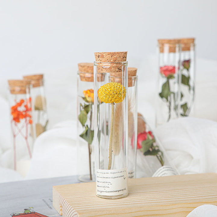 Dried Preserved Flower In Glass Test Tube