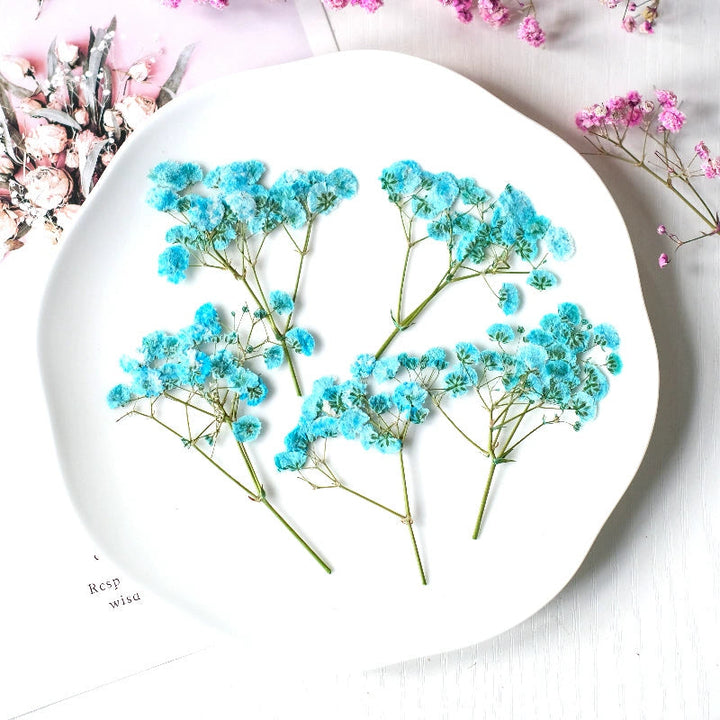 12 Pcs Pressed Dried Baby's Breath Flowers