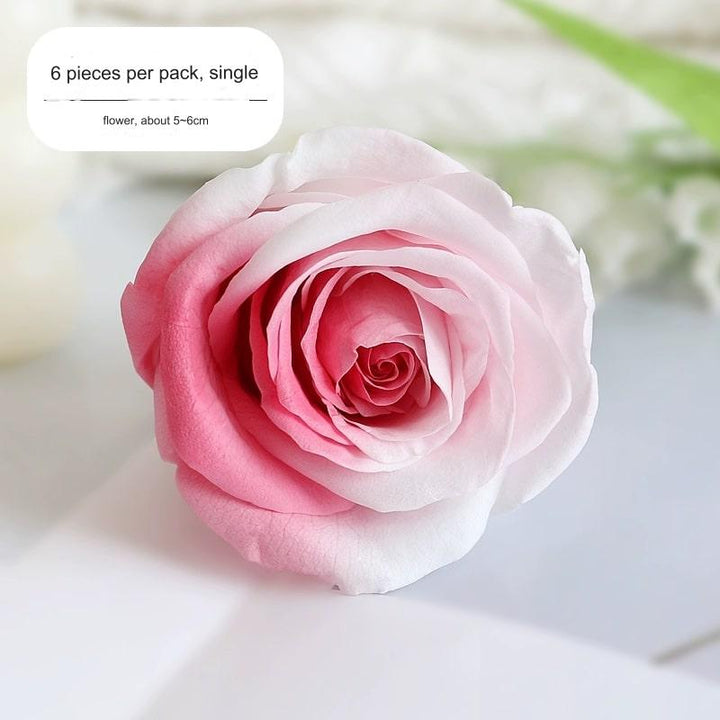 Premium Preserved Pink-White Rose, 2-6cm