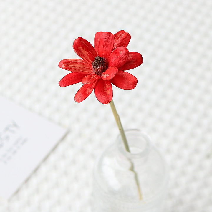 Colorful Preserved Daisy Flowers – Single Bloom for DIY Floral Crafts