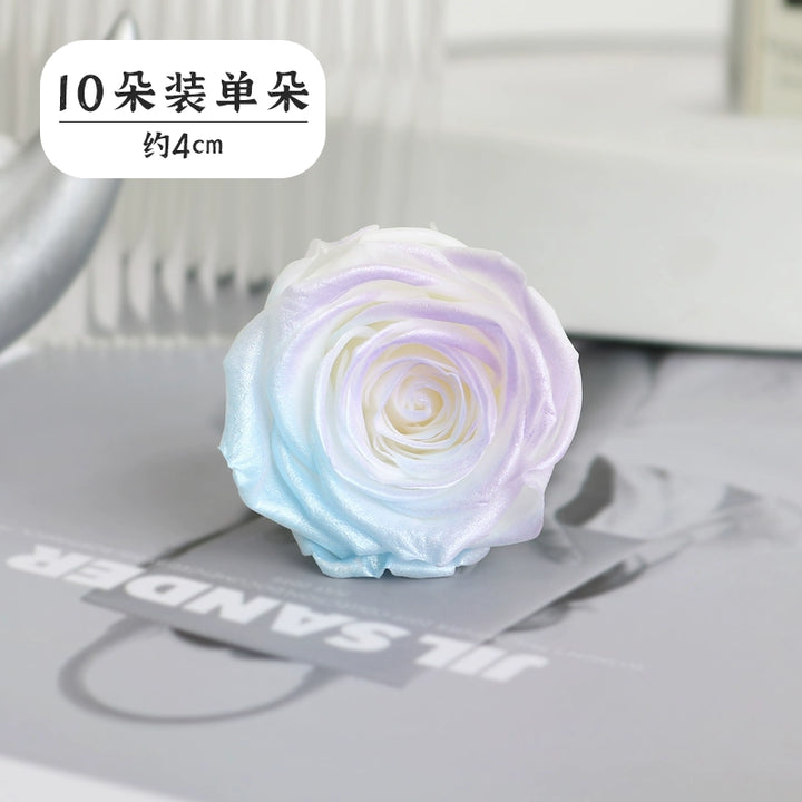 Pearlescent Preserved Rose For DIY Bouquet – 5-6CM Bloom for Crafting and Decor