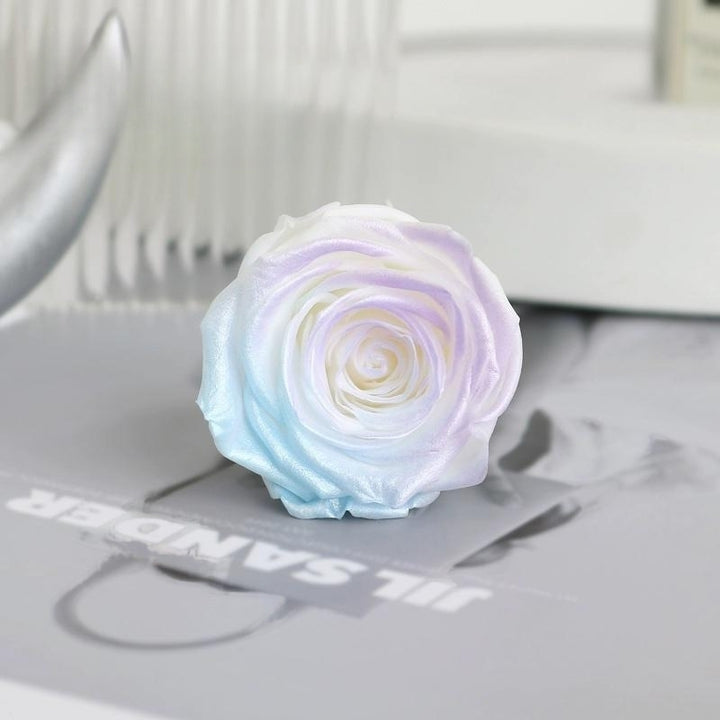 Pearlescent Preserved Rose For DIY Bouquet – 5-6CM Bloom for Crafting and Decor