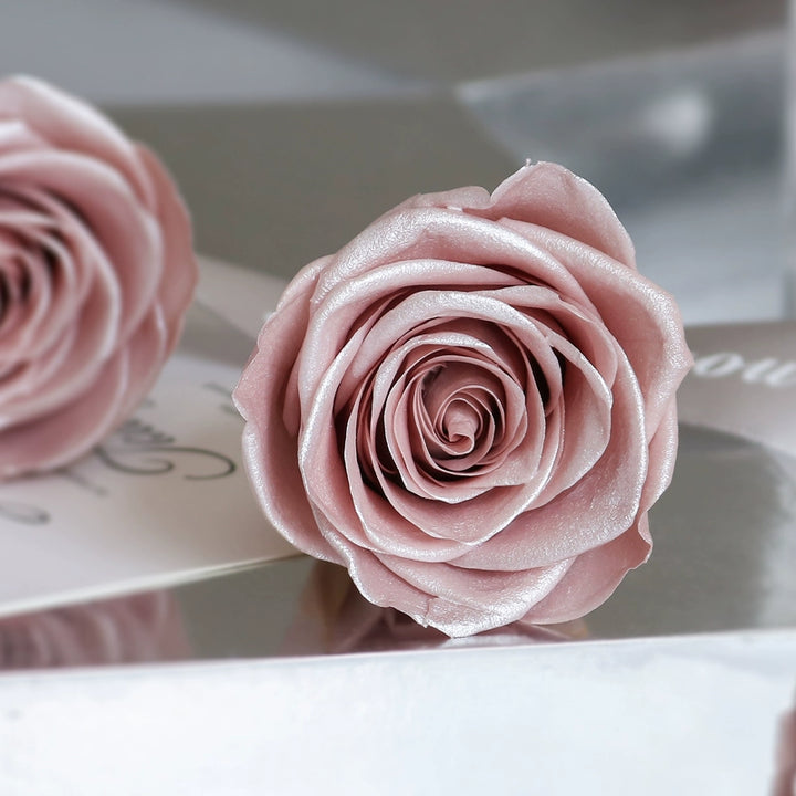 Pearlescent Preserved Cream Rose – 4-5CM Single Bloom DIY Craft Kit