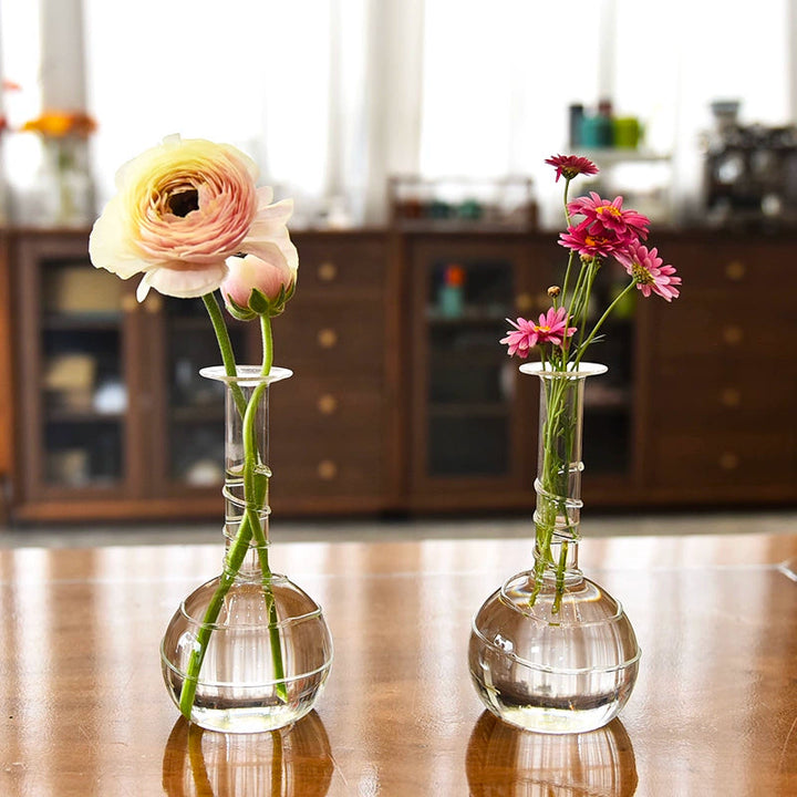 Minimal Clear Round Glass Vase