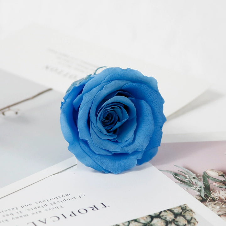 preserved-roses-5-6cm-single-rose-for-floral-decorations-and-gifts