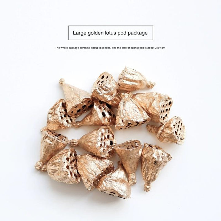 EarthMatters Preserved Lotus Pods for DIY Crafts and Floral Decor