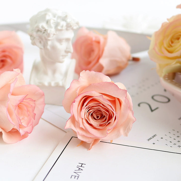 Elegant Preserved Roses - 3.5-4.5cm Bloom for Timeless Arrangements