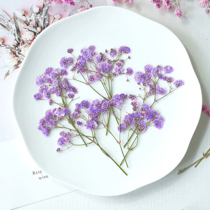 12 Pcs Pressed Dried Baby's Breath Flowers