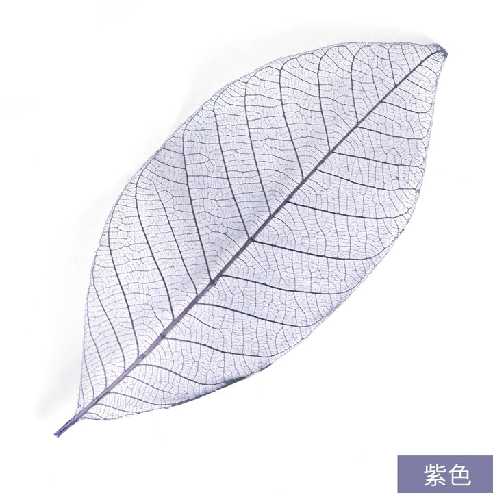 transparent-skeleton-leaves-for-diy-floral-decoration-7-9cm-multi-color-preserved-leaves