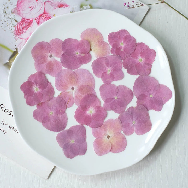 50 Pcs Pressed Dried Hydrangea Flower for DIY Crafts