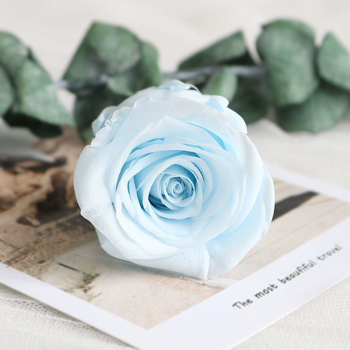 Preserved Single Rose Head for DIY Crafting – 4-5cm, Multiple Color Options