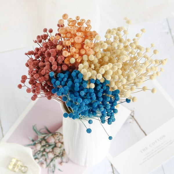 Preserved Button Daisy Flowers – 0.5-1CM Mini Blooms for Vase Arrangements and DIY Decor