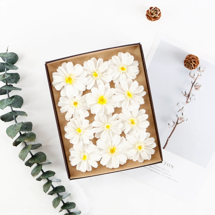 Preserved Daisy DIY Craft Kit – EarthMatters Imported Floral Material