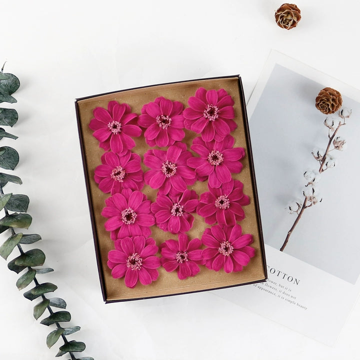 Preserved Daisy DIY Craft Kit – EarthMatters Imported Floral Material