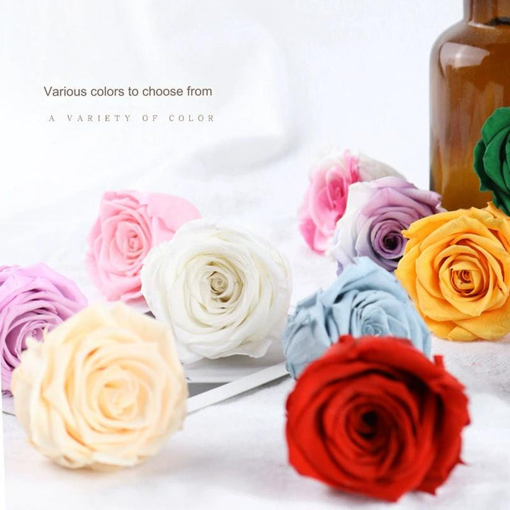 Preserved Single Rose Head for DIY Crafting – 4-5cm, Multiple Color Options