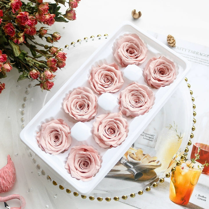 Preserved Rose 4-5cm – 11 Piece Floral Set for Creative Projects