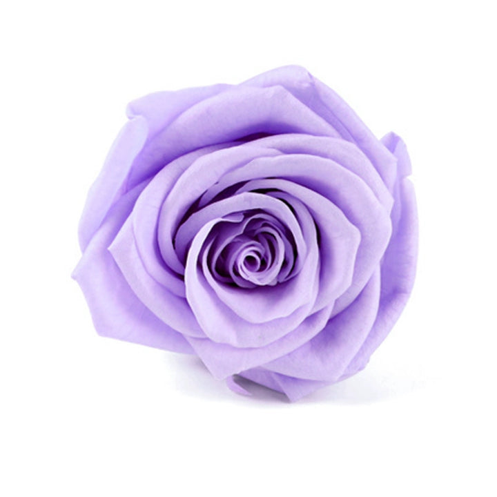 Preserved Single Rose Head for DIY Crafting – 4-5cm, Multiple Color Options